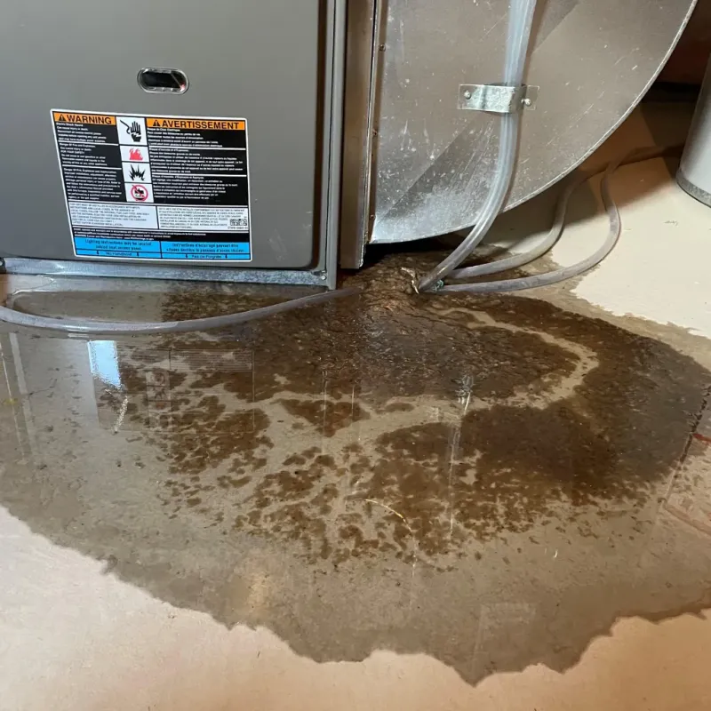 Appliance Leak Cleanup in Flandreau, SD